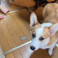 赤ちゃんを見守るまる君8