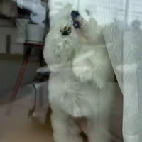 少しの間離れていただけで…