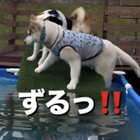 うみくんも踏み外し！