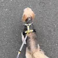 こんなに健やかな体に！