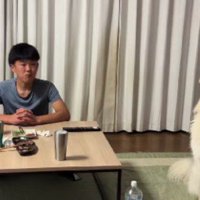 「怒られてるの僕だ」