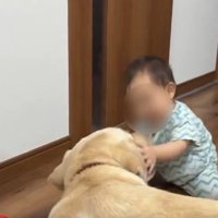 すわってね