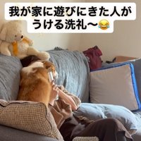 エルモちゃんのおもてなし