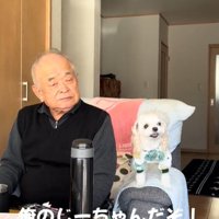 おじいちゃんと犬