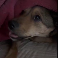 やっと起きてきた