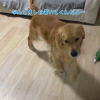 アルトくんと子どもたちの日常8