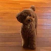 どちらも可愛い♡