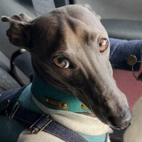 鋭い視線も素敵♪