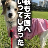 ダニエルくんとの数ヶ月間8