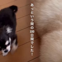 あっという間だった…