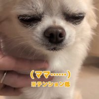 寂しい5日間を過ごした…