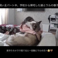 会えた喜び、全開！