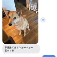 策士
