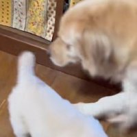 なんとかみんなに追いついたよ！