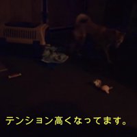 なんだか楽しそう♪