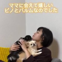2頭の小型犬を抱えてソファに座る女性