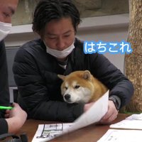 会議にも参加します