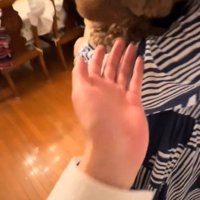 犬に手を差し出す4