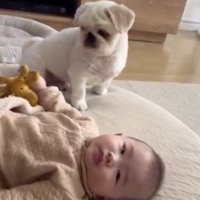 まもるくん「どうしよ…」
