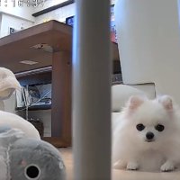 見守りカメラ