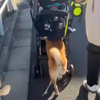 軌道修正をするママ