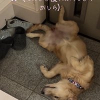 「このまま寝ちゃおう…」