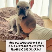 赤ちゃんがそばにきて…