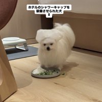ライフハック