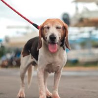 ルビちゃんの笑顔