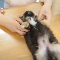 心を許しすぎている…