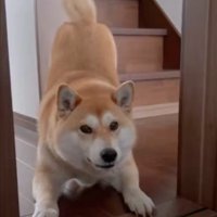 呼びかけ
