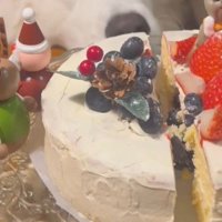 性別発表サプライズ