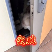 家に入っていくちょっちゃん