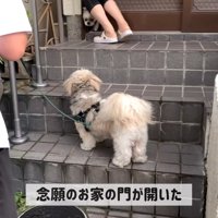 お友達のココちゃん登場！
