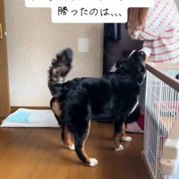 「絶対に行かせないぞ！」
