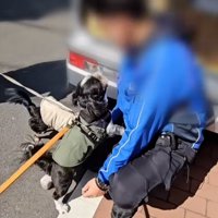 立ち上がるライタくん