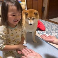 遊びたかったすずちゃん