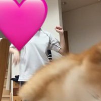 スッと退場…