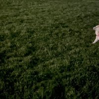 すっかり若返っちゃった！？