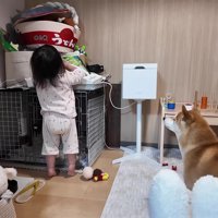 好奇心旺盛な女の子が…