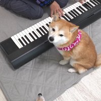 「わたしも頑張って練習しよう♪」