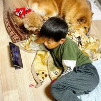 男の子と犬