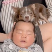 エルアちゃんと赤ちゃん3