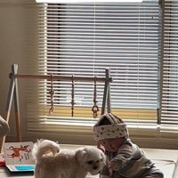 おもちゃで遊ぶワンコと赤ちゃん7