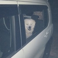 夜でも欠かしません