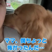 「本当は怖かった…」