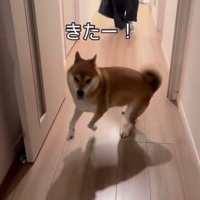 お姉ちゃんを熱烈歓迎するけいちゃん3