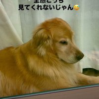 「休日に留守番させるなんて…」
