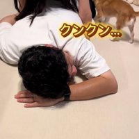 浮気調査をするチャイちゃん