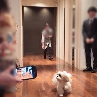 リングドッグに挑戦するつぶちゃん7